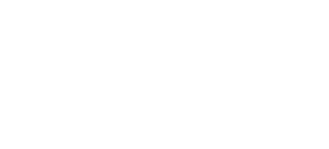 Ž.V. Agencija Pula - fotografiranje, balonski dekor, photo booth